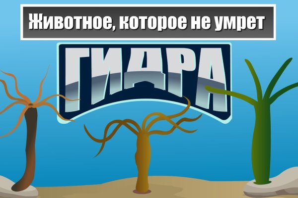 Мега маркетплейс ссылка